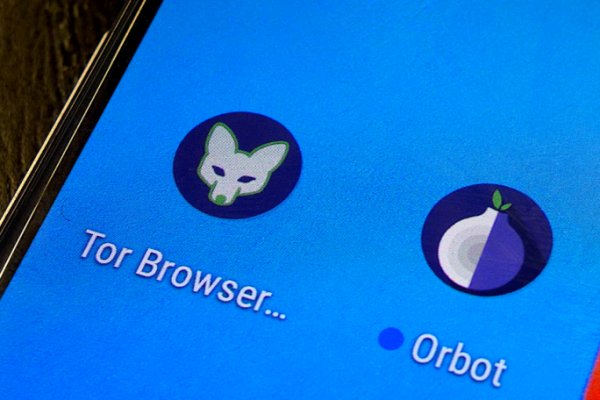 Tor browser даркнет